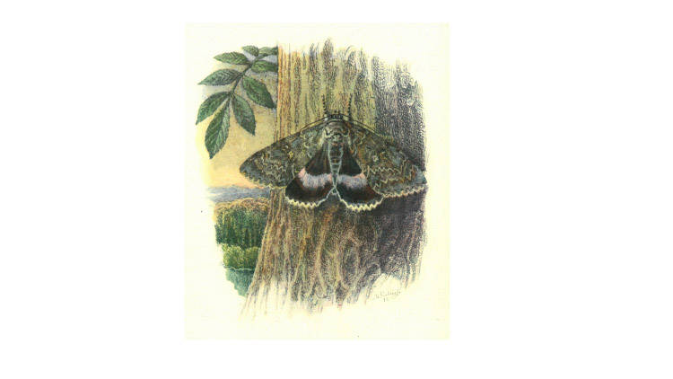    Beseda se spisovatelem Michalem Sýkorou