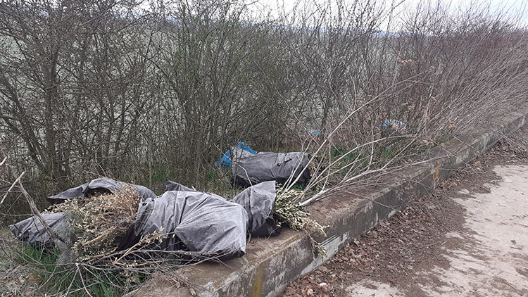 Skládka v Nezamyslicích  se po velkém úklidu  neobnovila. Zatím...