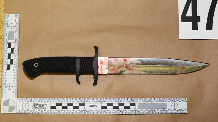 Vrahovi hrozí doživotní trest