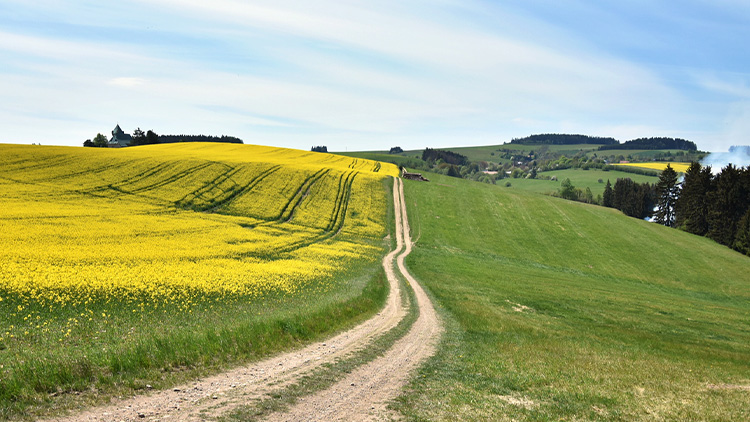 Z polní cesty bude asfaltka