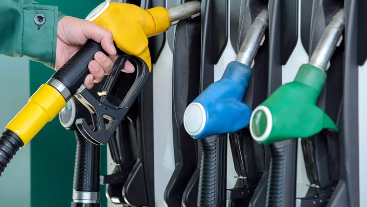 Máš pravdu, miláčku