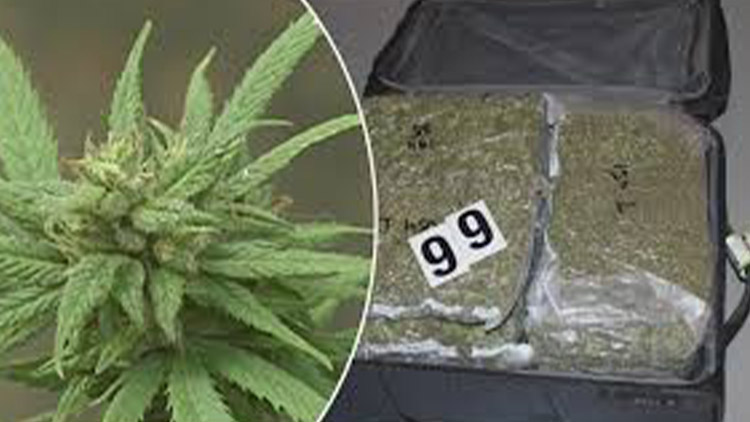 V autě mu našli drogy!