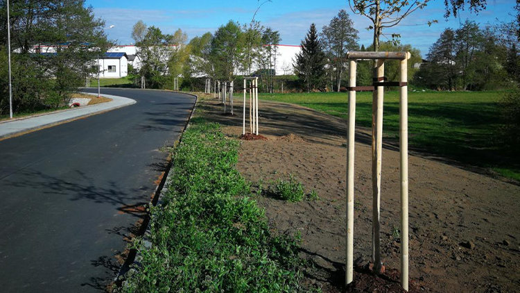 Sázení pokračuje i v květnu