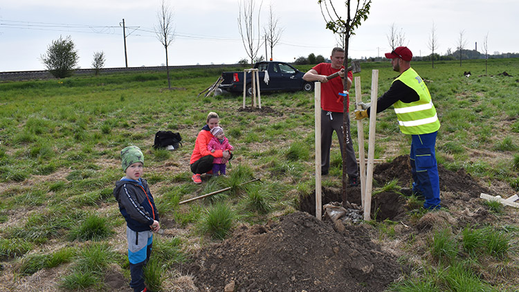 Lidé sázeli u cyklostezky ve směru na Bedihošť
