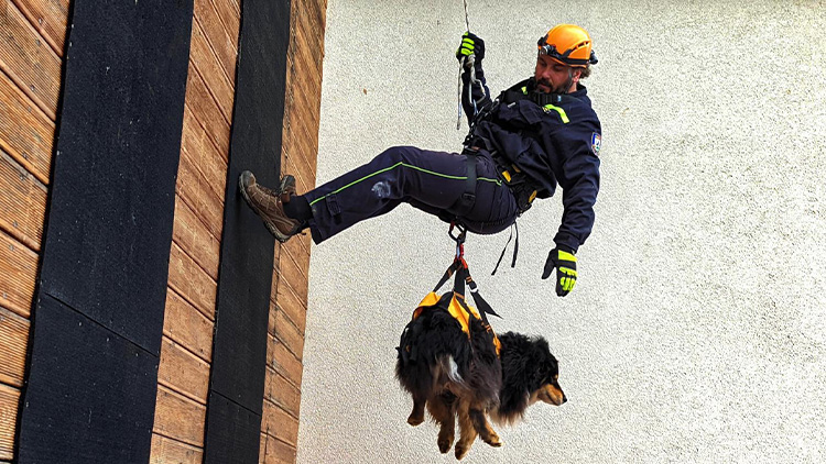 Kynologové trénovali se psy na cvičné věži na šumperské stanici