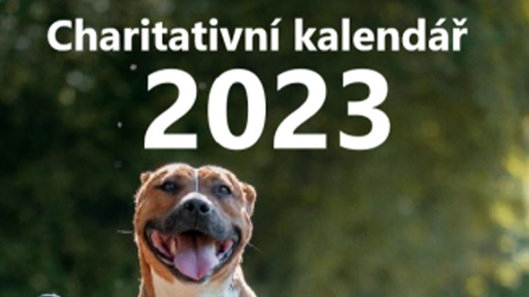 Podpoříte kalendář s pejsky  z útulku Voříšek?