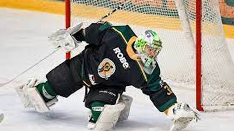 Brankářem sezóny byl zvolen Málek