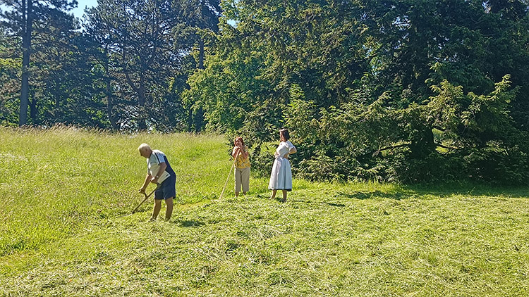 Došlo na sečení i řadu zajímavostí