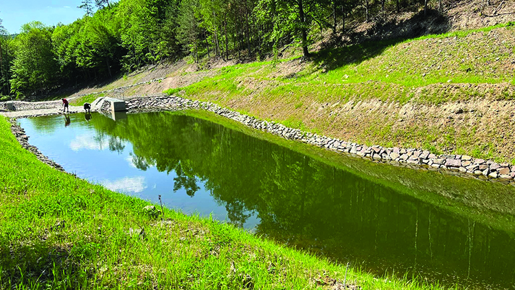 Amazonka u Běláku se zazelenala