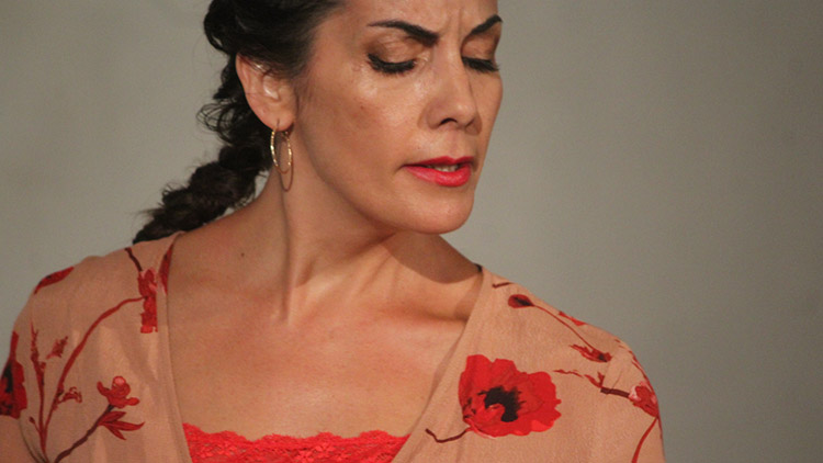Do zámecké oranžerie se vrátilo flamenco