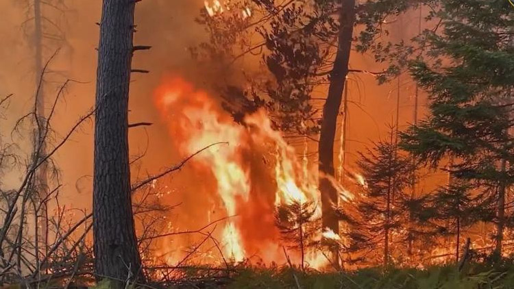 ÚP ČR je připraven pomoci  obyvatelům i obcím z Hřenska