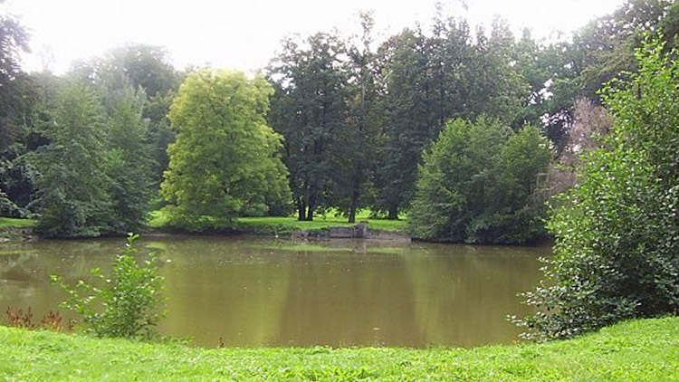 Na obnovu rybníků chybí peníze