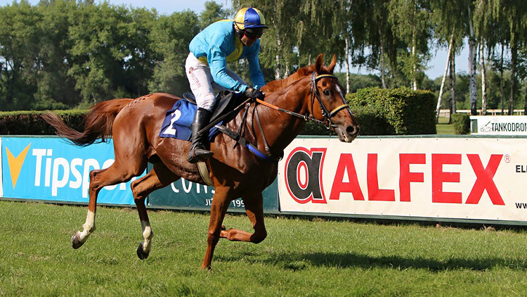 Popelkův Zataro se kvalifikoval na Velkou pardubickou