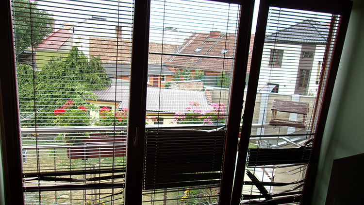 Kočka zničila žaluzie