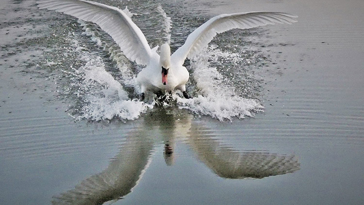 Pozor, jdeme na přistání!