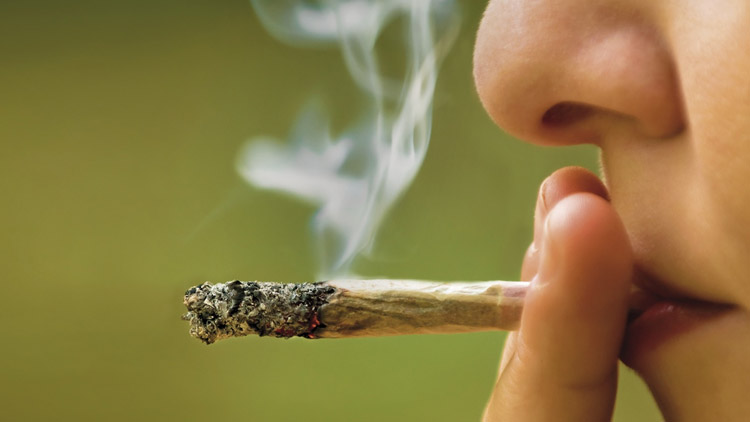 V parku hulí trávu i děti  