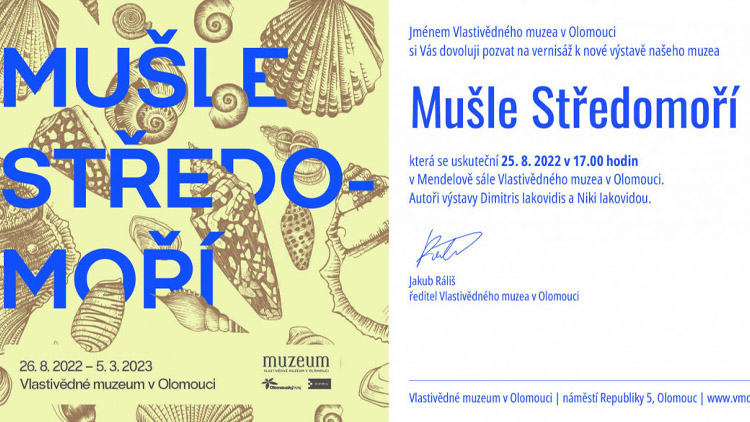 Mušle Středomoří