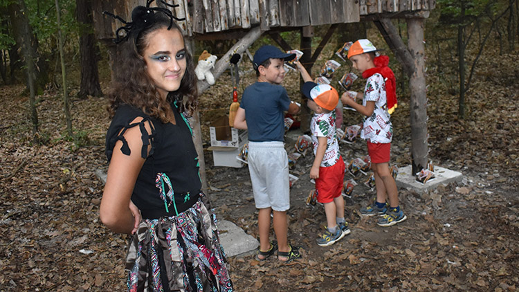 Pohádkový les ve Vícově