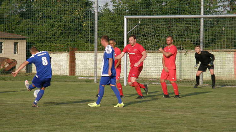 Bedihošť dostal doma bůra