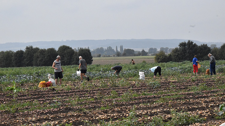 Prostějované míří na sever! Za zeleninou...