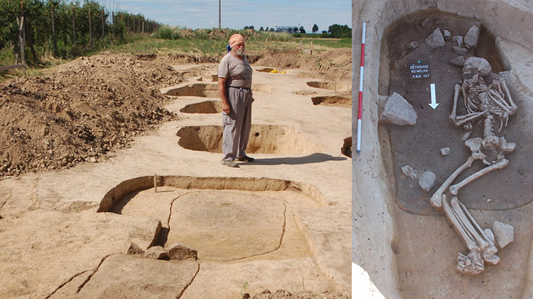 U Dětkovic byla nalezena KOSTRA!