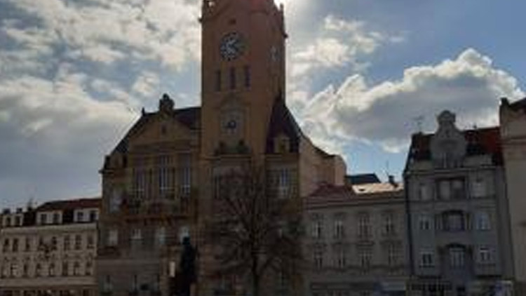 Plánované chemické ošetření porostů proti plevelům