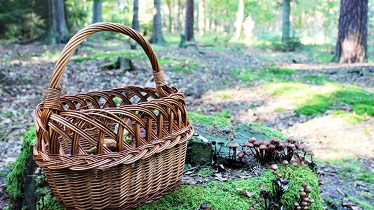 Seniora hledali hodinu!