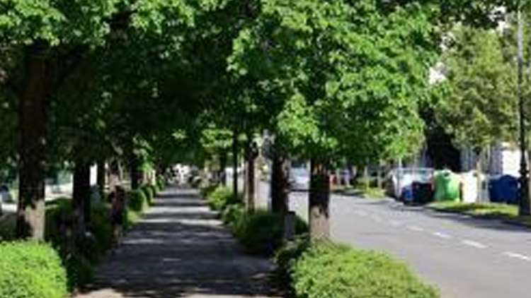 Anketa Alej roku je opět zde!