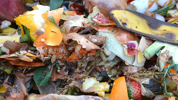 Podzim ve znamení odpadu ze zahrad