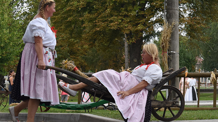 Emancipace na statku