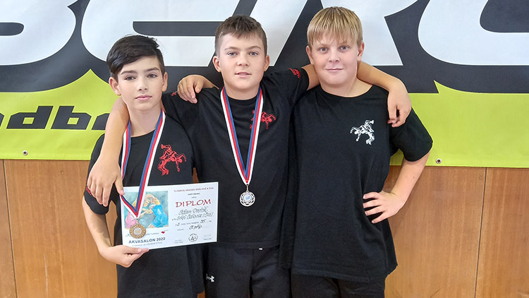 Čechovičtí bojovníci se úspěšně perou dál