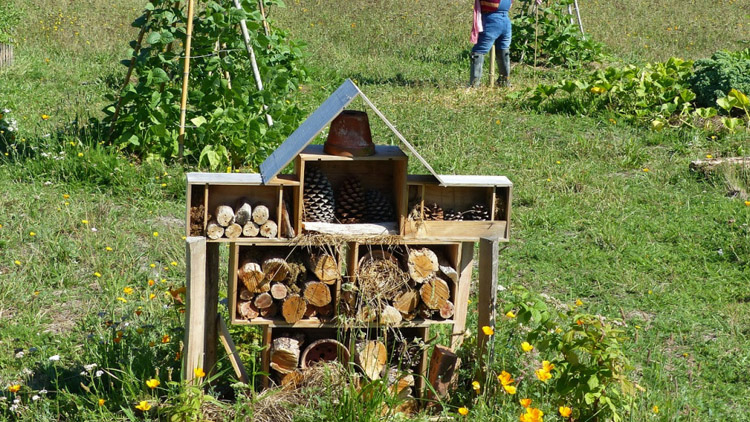 Školní zahrady projdou úpravami