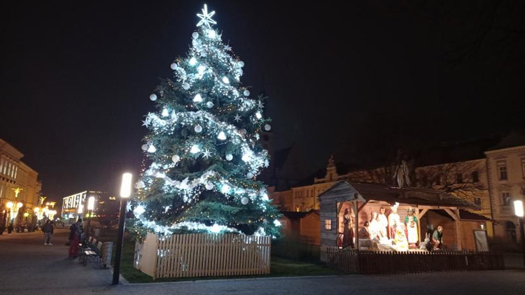 Darovací smlouva na letošní vánoční strom podepsána!