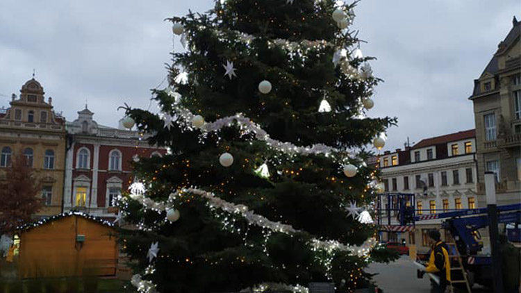 Prostějovský vánoční strom roste  ve Vrahovicích. Jak se bude jmenovat?  