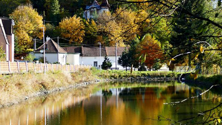 Opili se v sokolovně a pobořili zídku u rybníka
