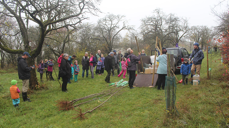 Místo lenošení sázeli stromy na Kosíři