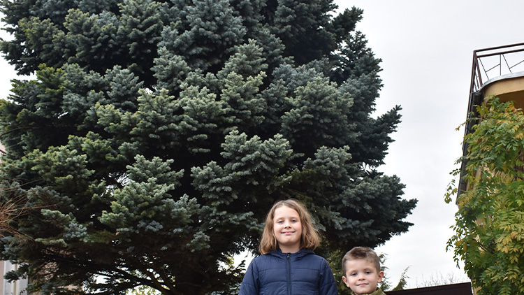 AKTUALIZOVÁNO: Prostějovský vánoční strom už jméno má!