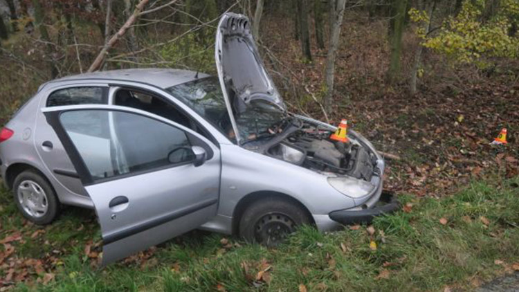 Nezvládla zatáčku,  skončila ve stromě