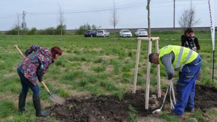 Blíží se poslední komunitní sázení tohoto roku