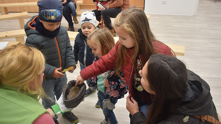 V Irisu před zimou uspávali ježky