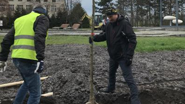  Letošní poslední komunitní sázení