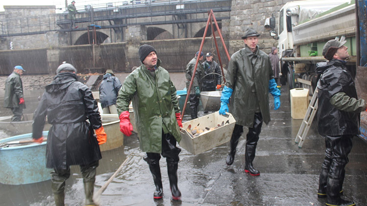 Výlov „Podhraďáku“: třicet metráků kaprů poputuje do přehrady