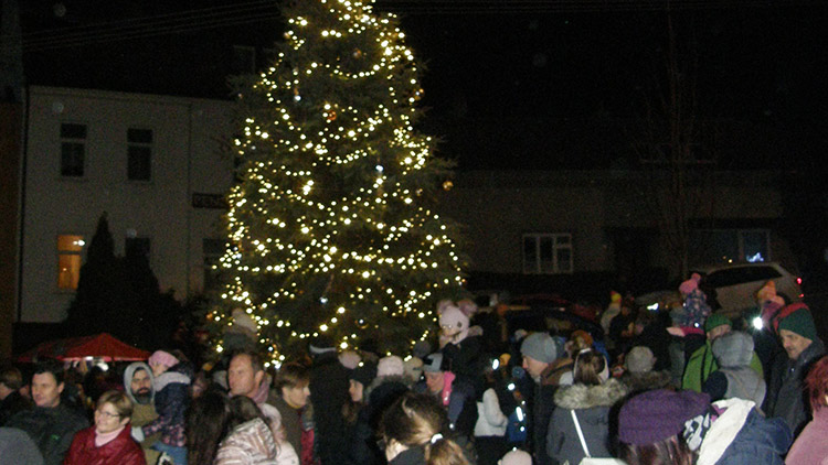 Vrabec prosí: mějte lásku v duších