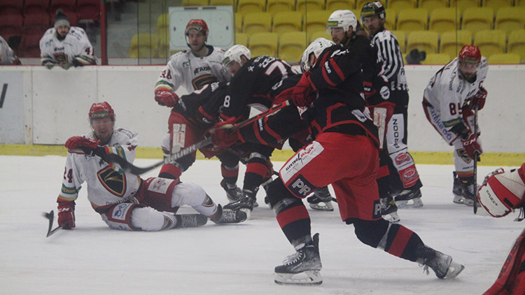 Jestřábi zdolali Litoměřice, poté padli. Co bude s posilami?