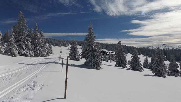 Zimní sezóna v Olomouckém kraji láká na svařák i skibusy, Jeseníky slibují anděly