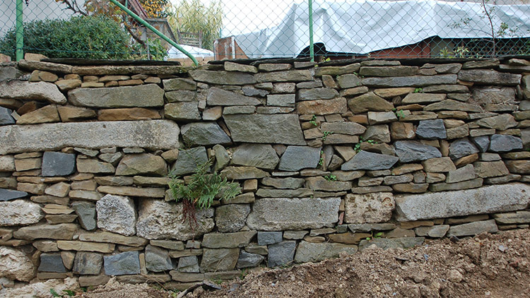 Před 56 lety našla mušli, teď cítí obrovskou satisfakci