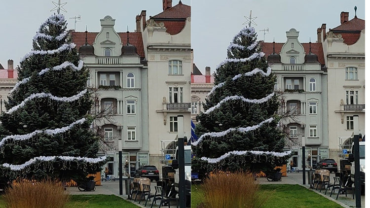 Prostějované svůj vánoční strom nedají