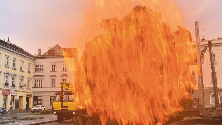 Vánoční stromeček potká netradiční konec