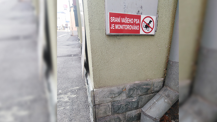 Velký bratr tě sleduje!