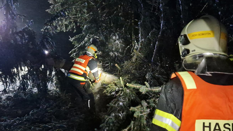 Náročná sobota pro profesionální i dobrovolné hasiče. Vichřice lámala stromy